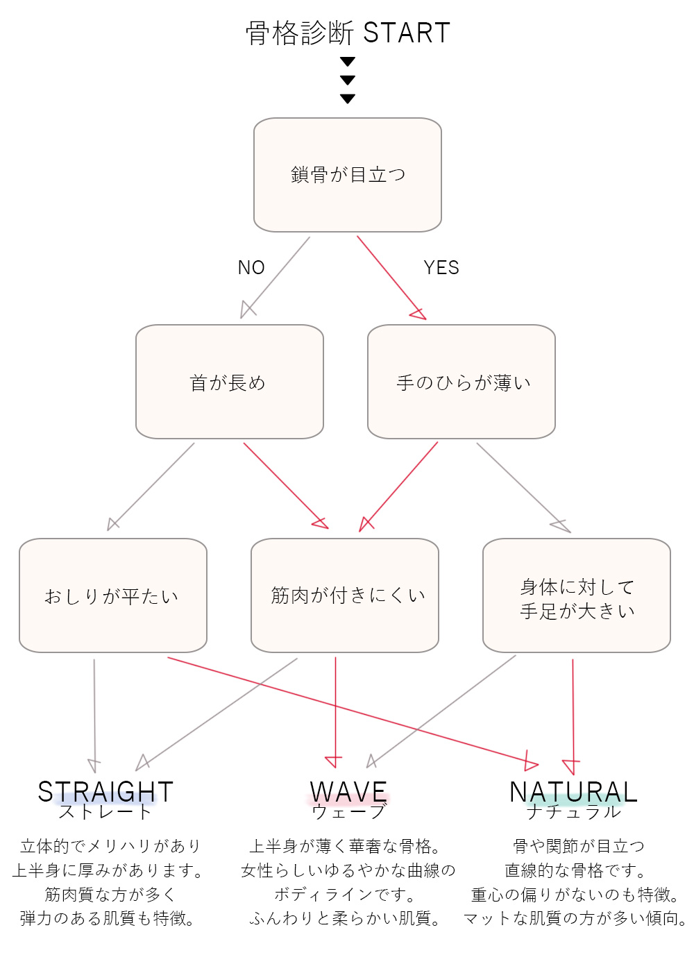 骨格タイプチャート